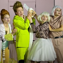 Der tollste Tag oder Figaros Hochzeit 03.07.2026 Japanisches Palais